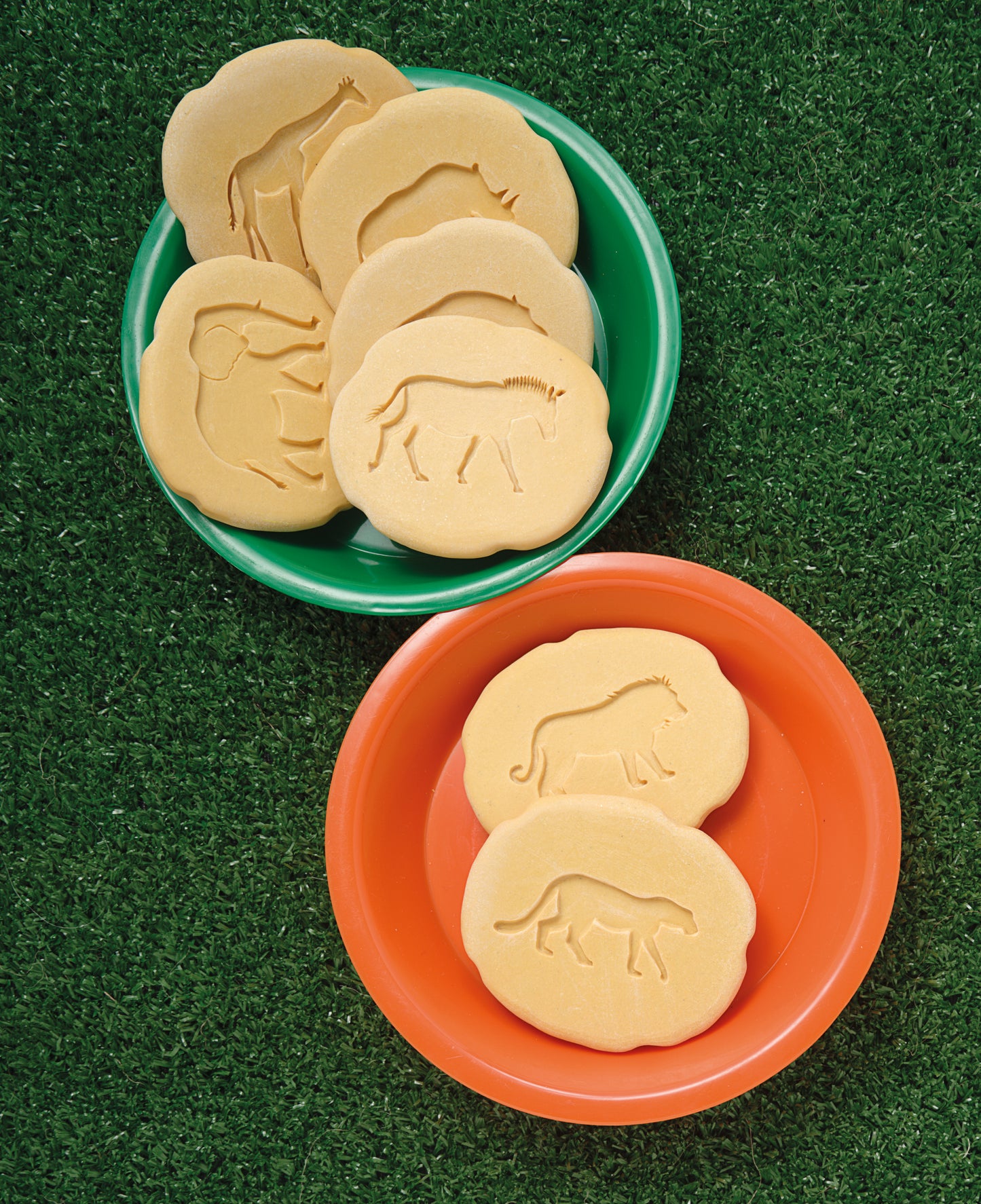 Yellow Door | Let's Investigate | Voetafdrukken | Safaridieren