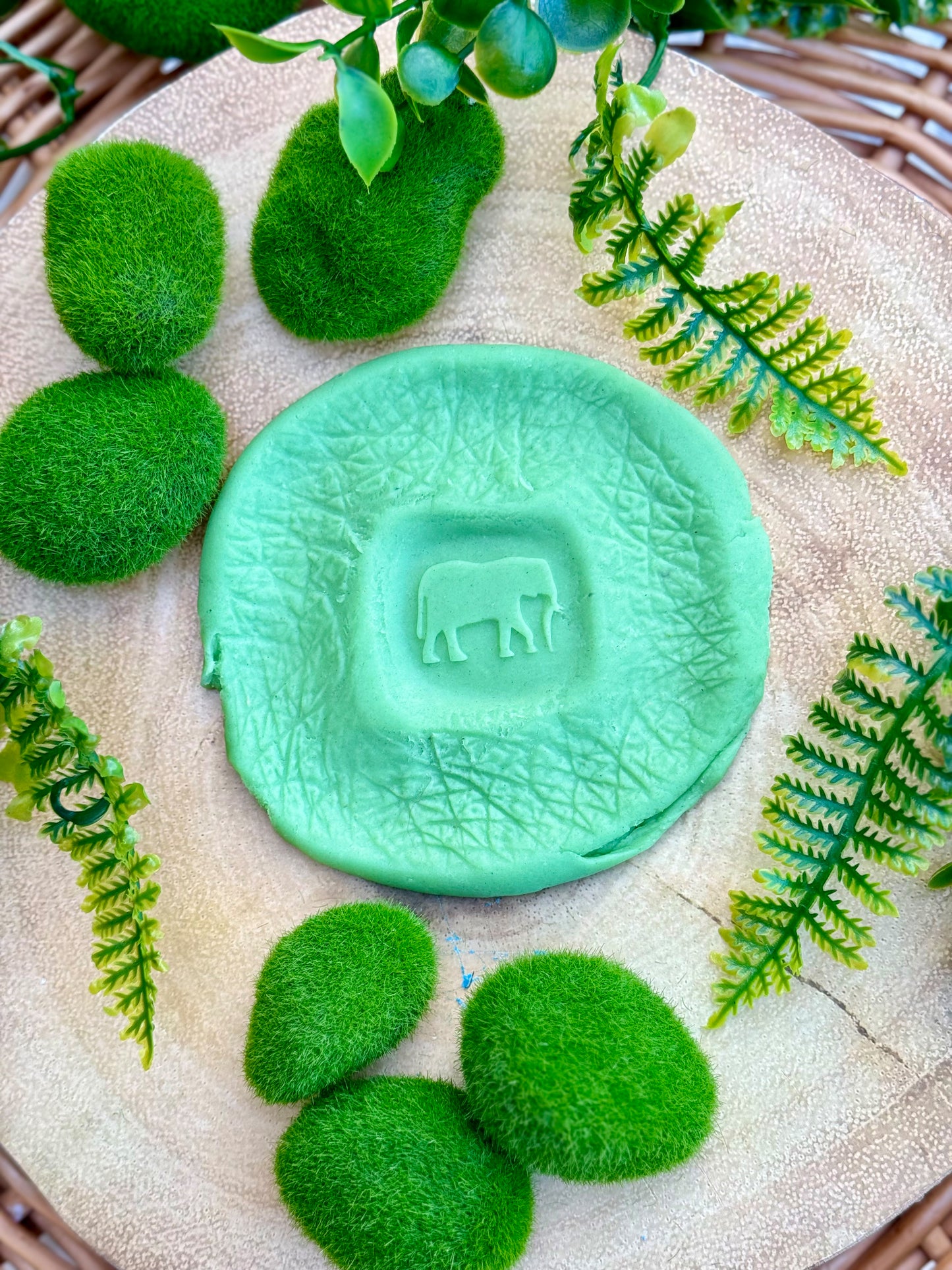 Yellow Door | Roll Around | Wilde Dieren