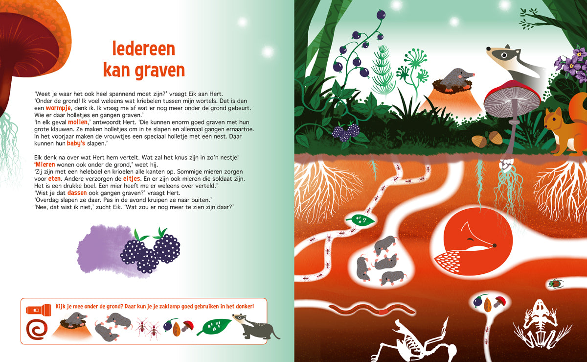 Speuren in het Bos | Lantaarn Publishers