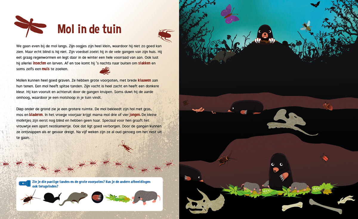 Speuren onder de Grond | Lantaarn Publishers