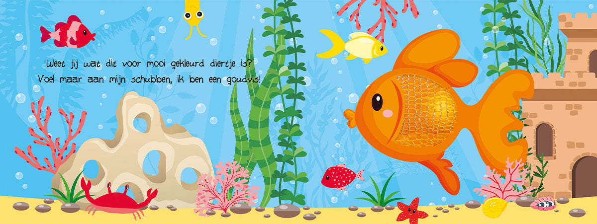 Kijk en voel - Huisdieren | Lantaarn Publishers