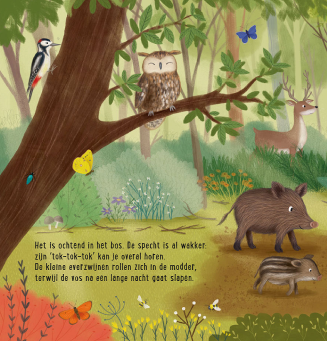 Uitgeverij Deltas | Mijn Eerste Zoekboek | Dieren in het bos