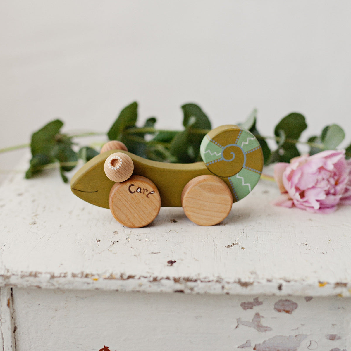 Friendly Toys | Houten Kameleon (duw en trek)