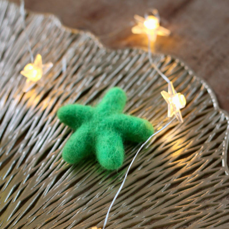 Mkiddiezz | Vilt | Ster