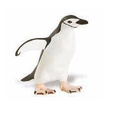 Safari LTD® | Pooldieren | Pinguïn