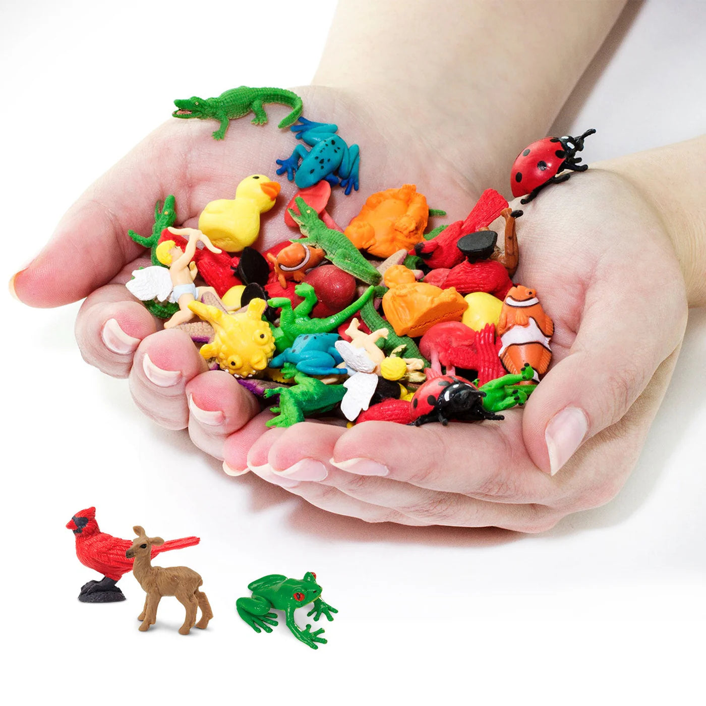 Safari LTD® | Mini's | Fun Pack | Tuin