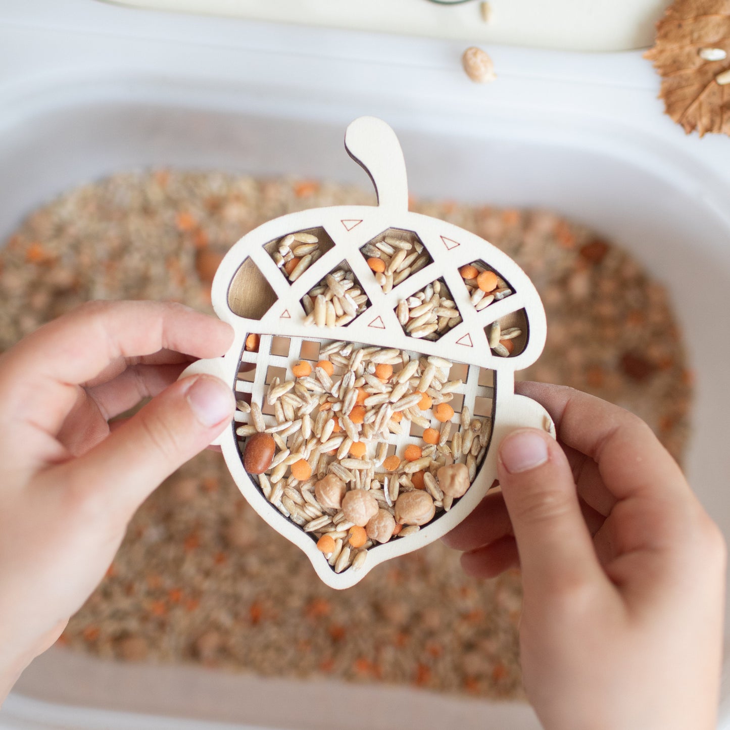 Studio de Rijk | Houten Zeefje | Eikeltje