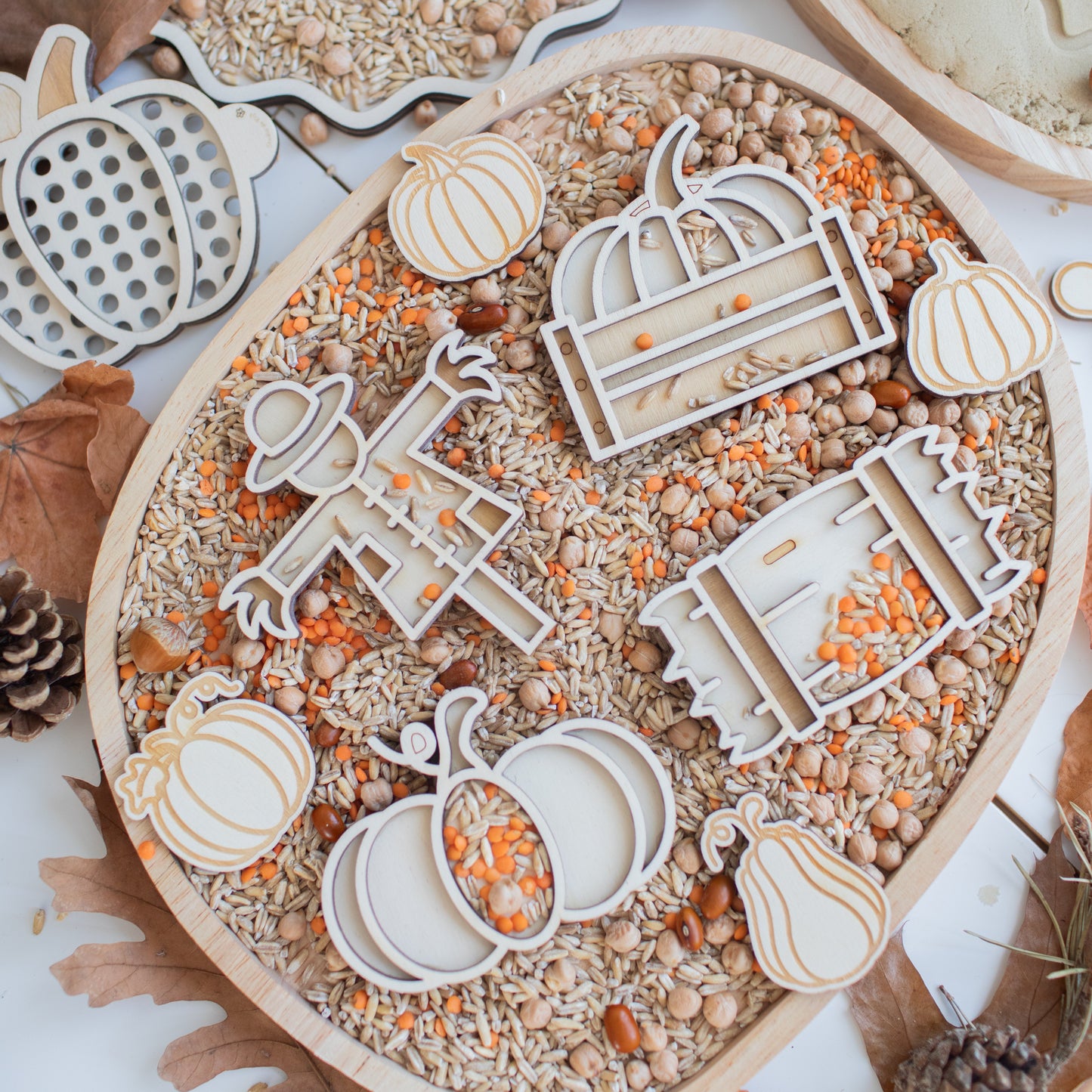 Studio de Rijk | Vulvorm | Mini Set | Pompoenveld