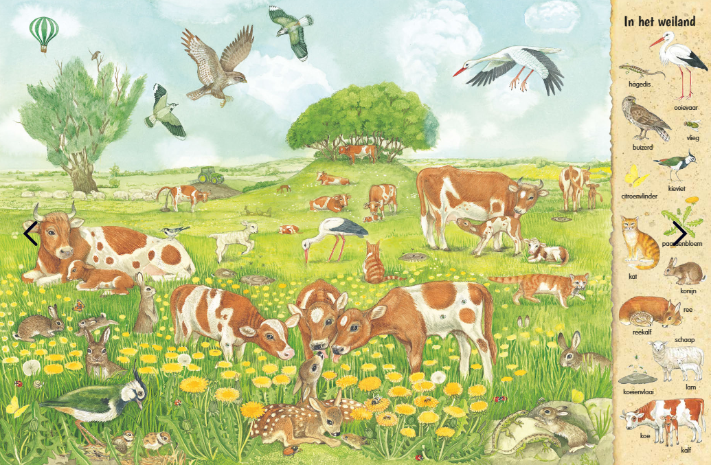 Uitgeverij Deltas | Kijk- en Zoekboek | In Het Veld