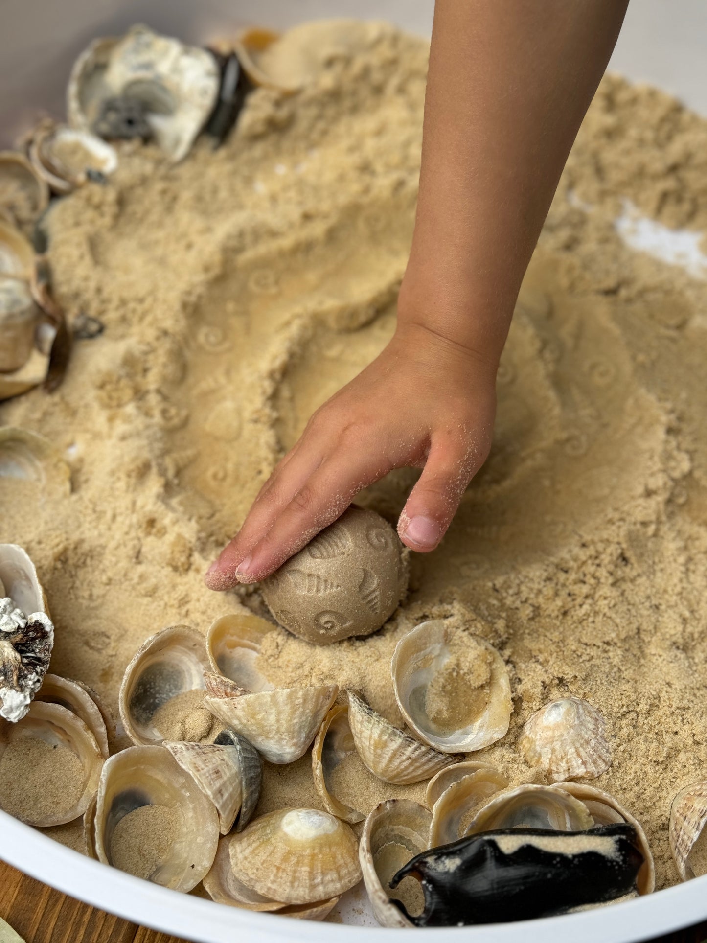 Yellow Door | Roll Around | Natuur