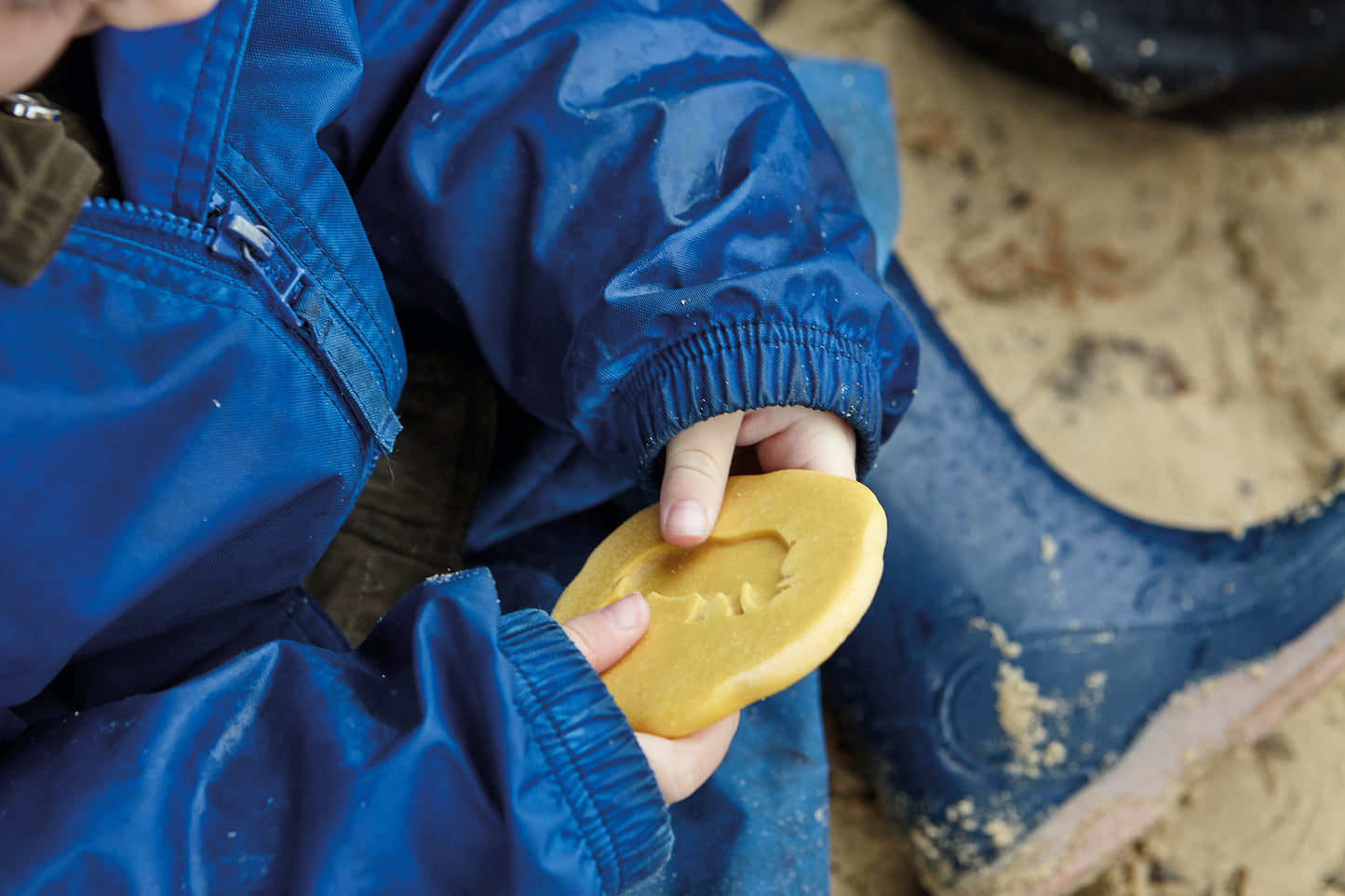Yellow Door | Let's Investigate | Voetafdrukken | Safaridieren