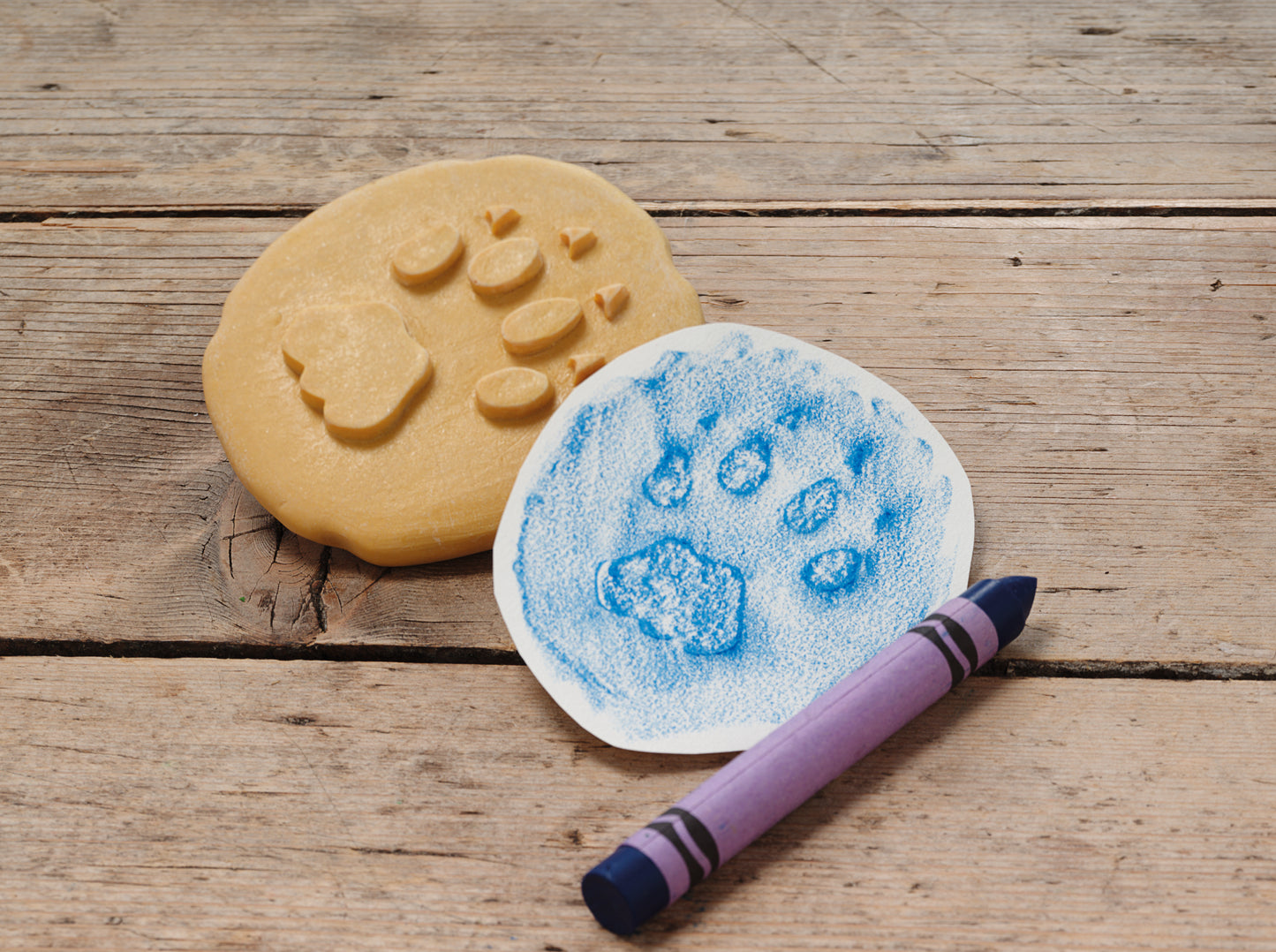 Yellow Door | Let's Investigate | Voetafdrukken | Safaridieren