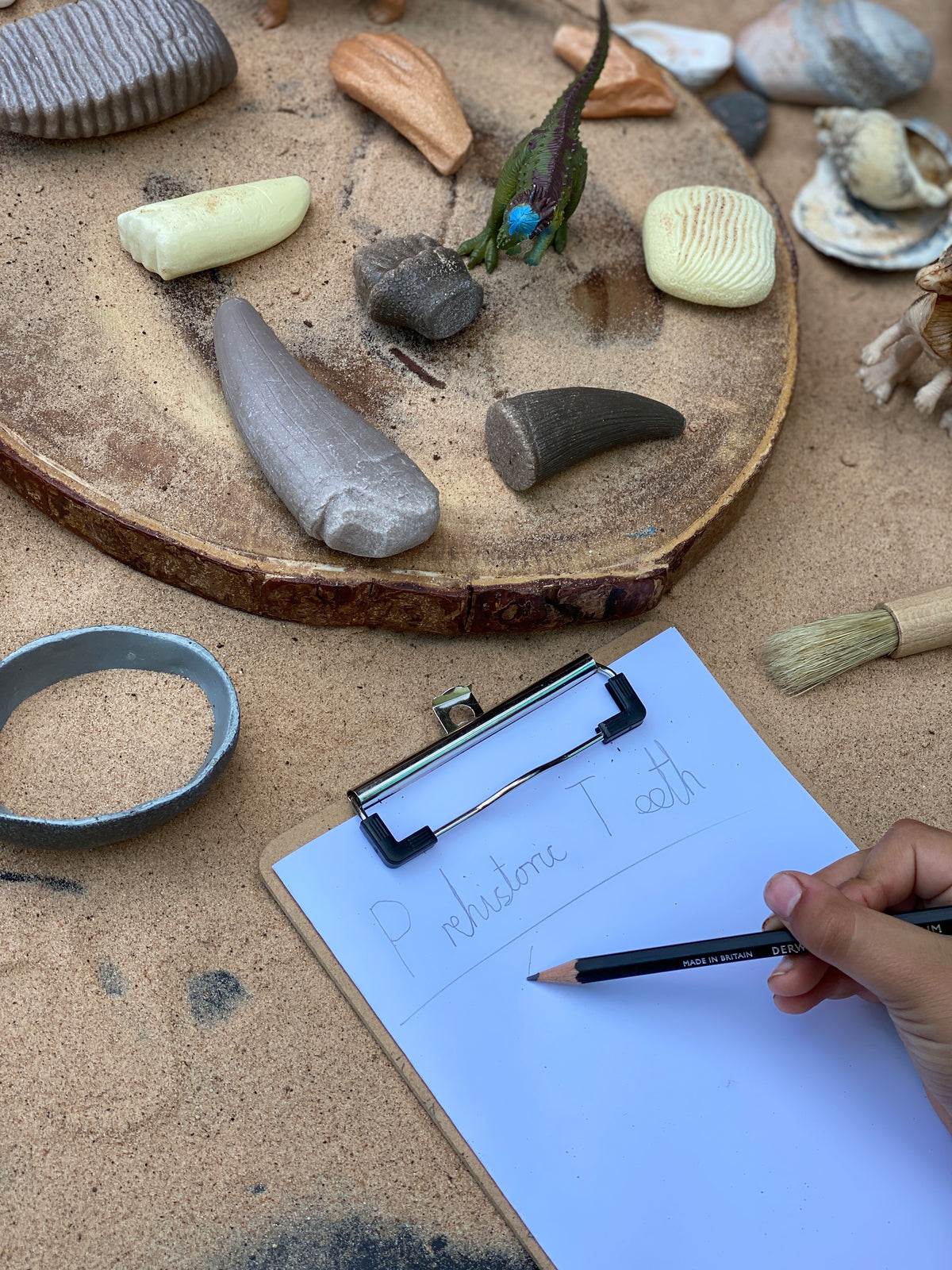 Prehistorische tanden - Ontdekset | Yellow Door
