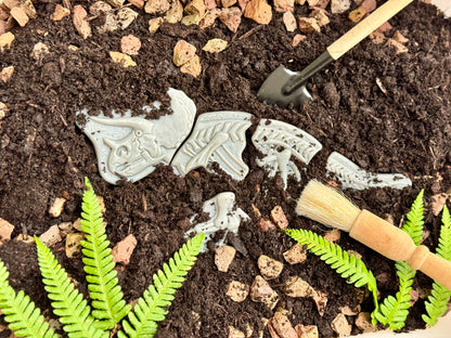 Ontdekstenen - Ankylosaurus & tyrannosaurus rex | Yellow Door