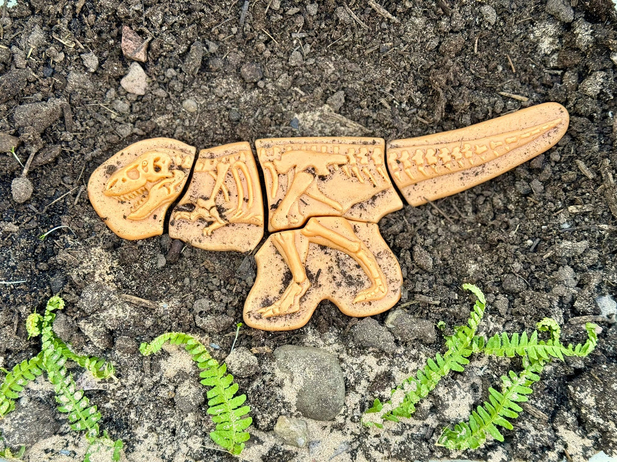Ontdekstenen - Ankylosaurus & tyrannosaurus rex | Yellow Door