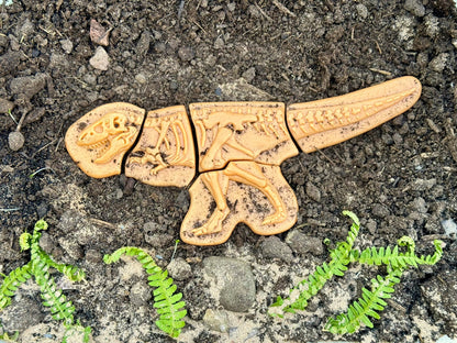 Ontdekstenen - Ankylosaurus & tyrannosaurus rex | Yellow Door