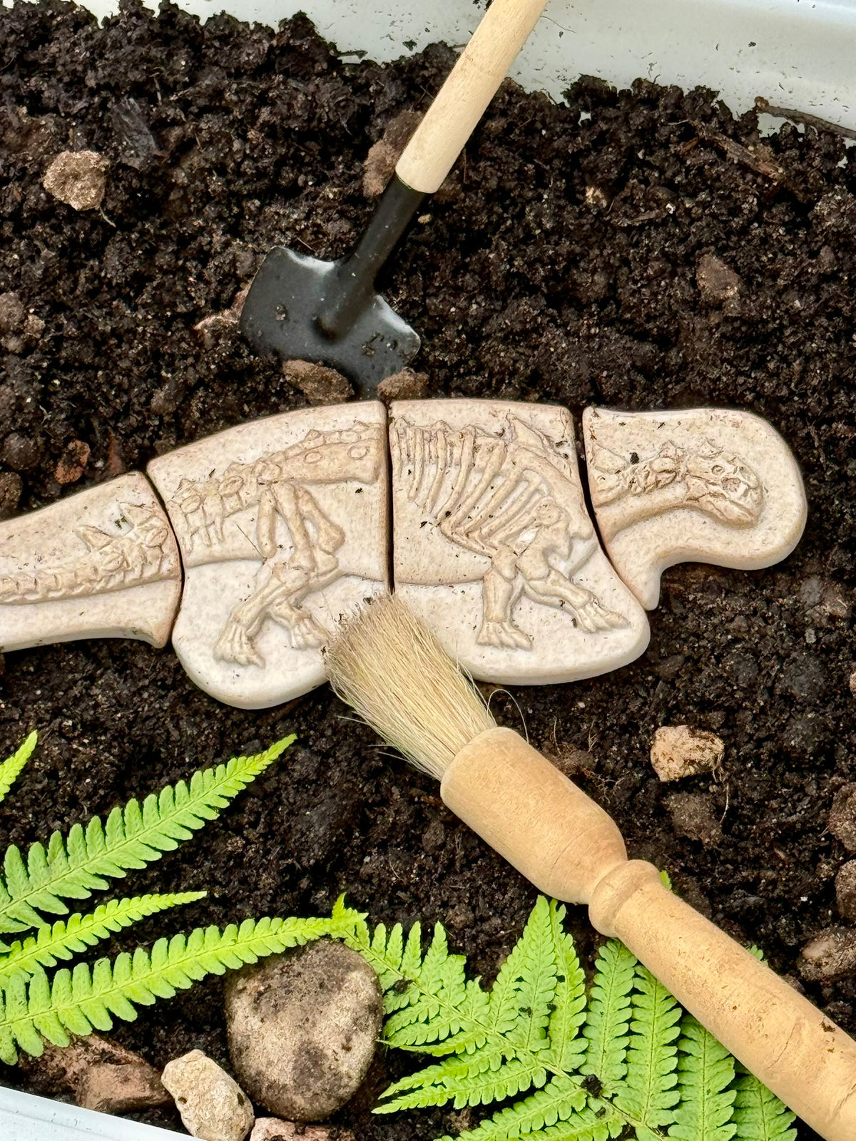 Ontdekstenen - Ankylosaurus & tyrannosaurus rex | Yellow Door