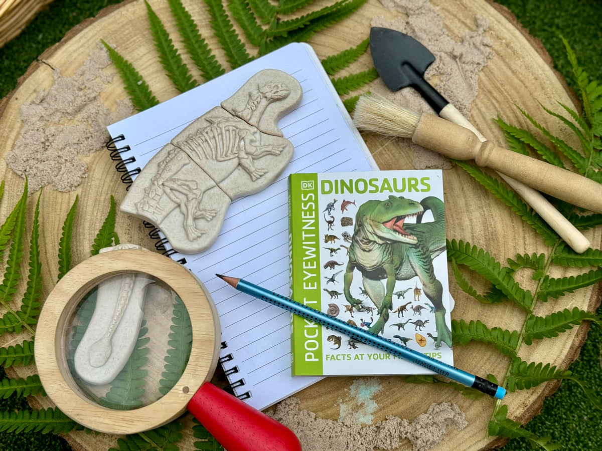 Ontdekstenen - Ankylosaurus & tyrannosaurus rex | Yellow Door