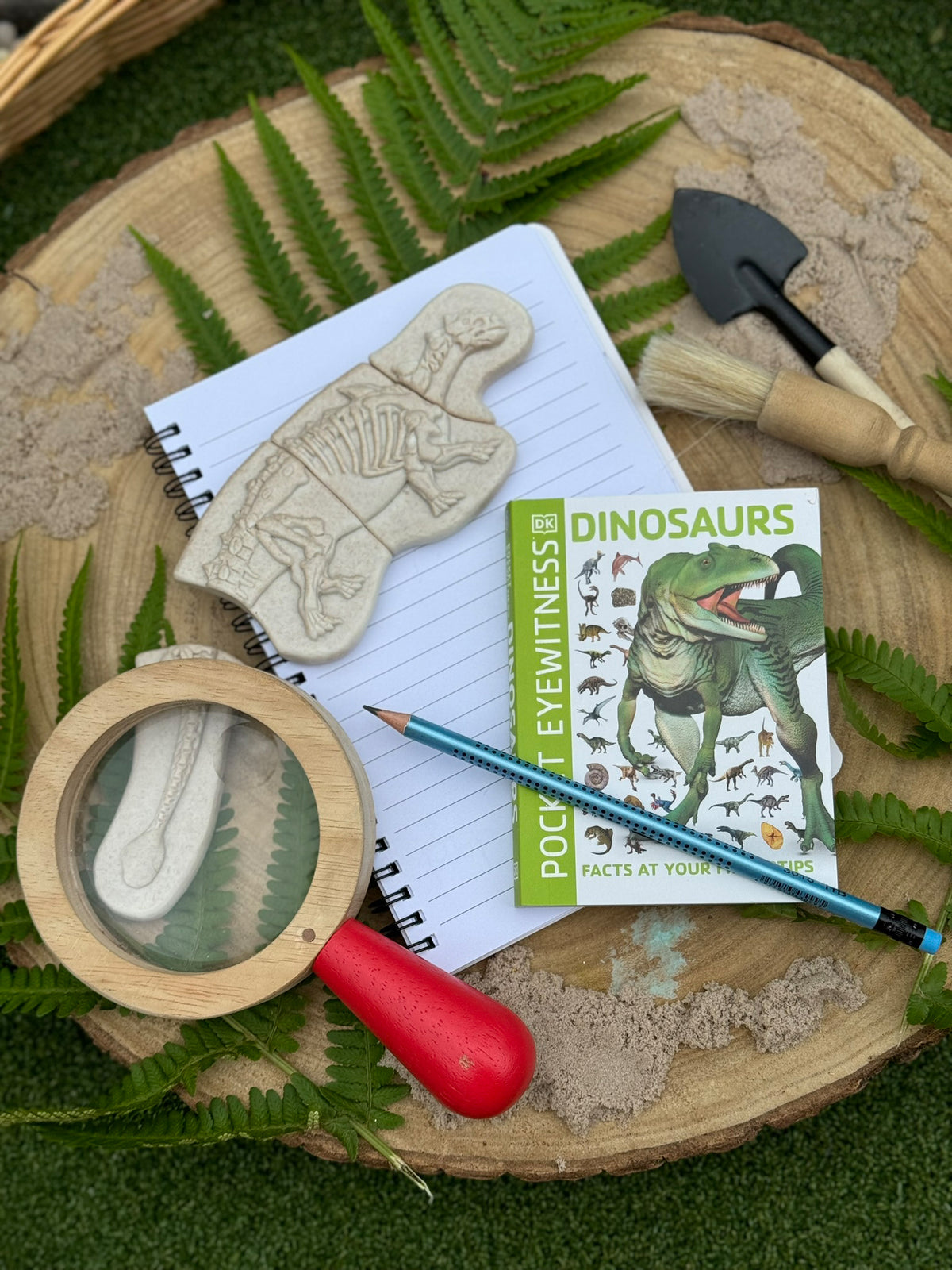 Ontdekstenen - Ankylosaurus & tyrannosaurus rex | Yellow Door