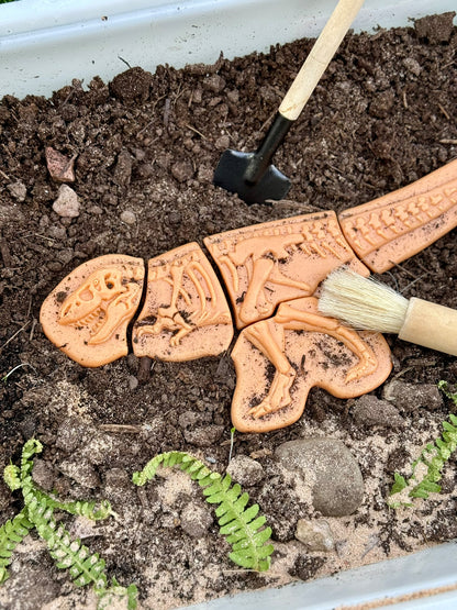 Ontdekstenen - Ankylosaurus & tyrannosaurus rex | Yellow Door