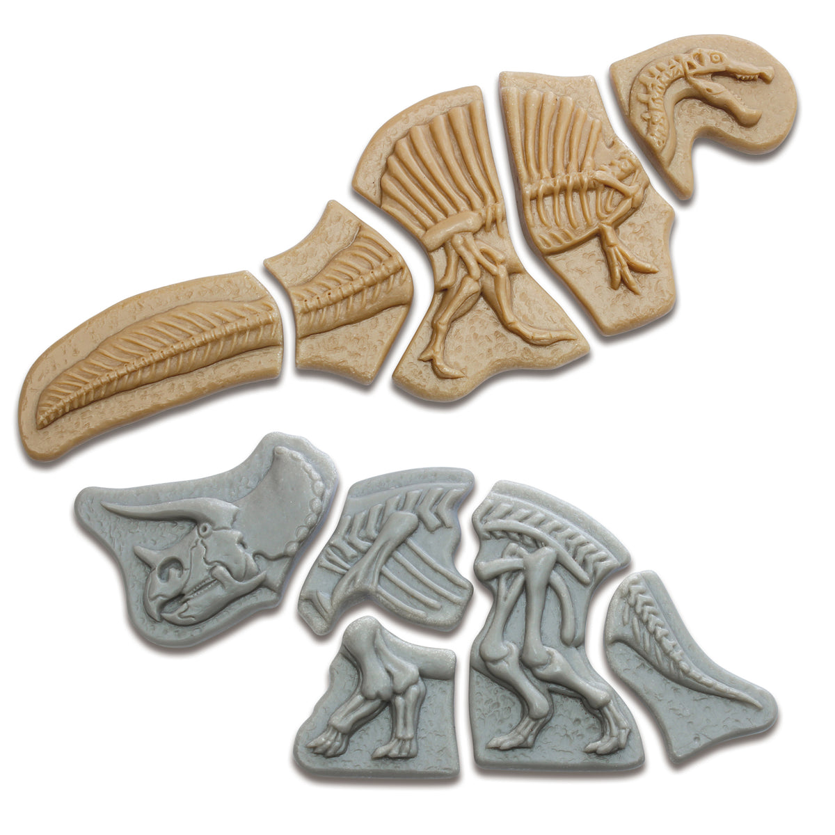 Ontdekstenen - Triceratops & spinosaurus | Yellow Door