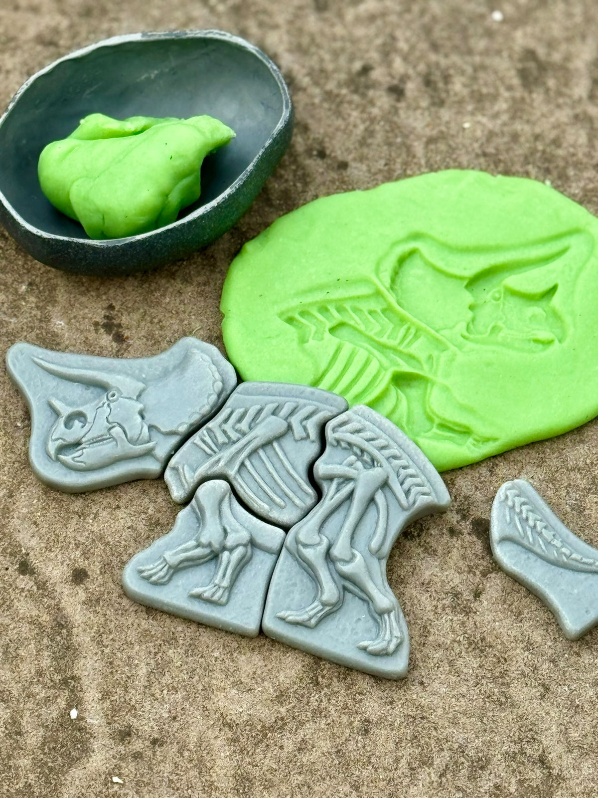 Ontdekstenen - Triceratops & spinosaurus | Yellow Door
