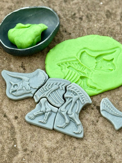 Ontdekstenen - Triceratops & spinosaurus | Yellow Door