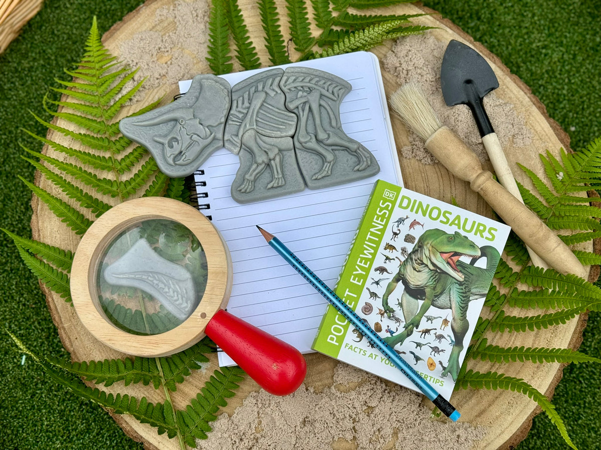 Ontdekstenen - Triceratops & spinosaurus | Yellow Door