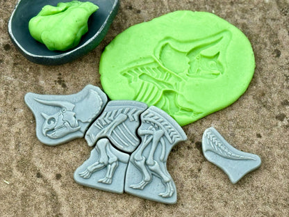Ontdekstenen - Triceratops & spinosaurus | Yellow Door