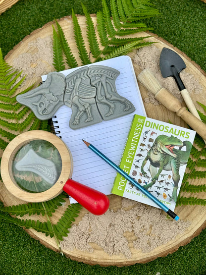 Ontdekstenen - Triceratops & spinosaurus | Yellow Door