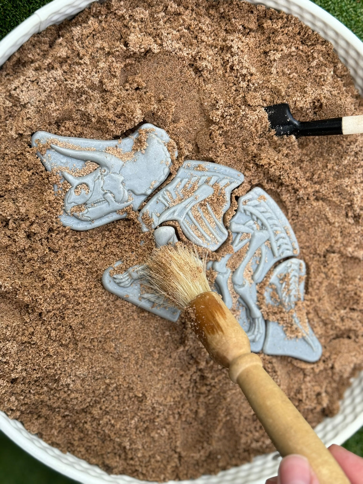 Ontdekstenen - Triceratops & spinosaurus | Yellow Door