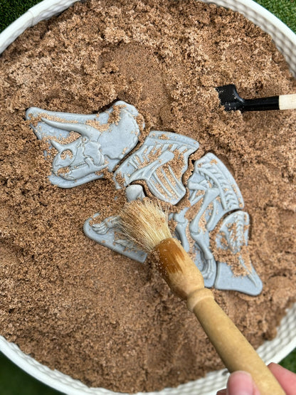 Ontdekstenen - Triceratops & spinosaurus | Yellow Door