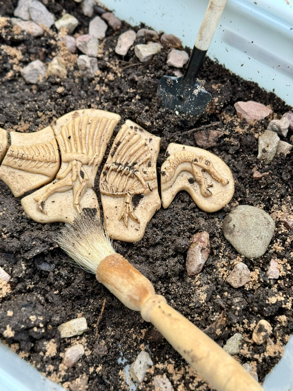 Ontdekstenen - Triceratops & spinosaurus | Yellow Door