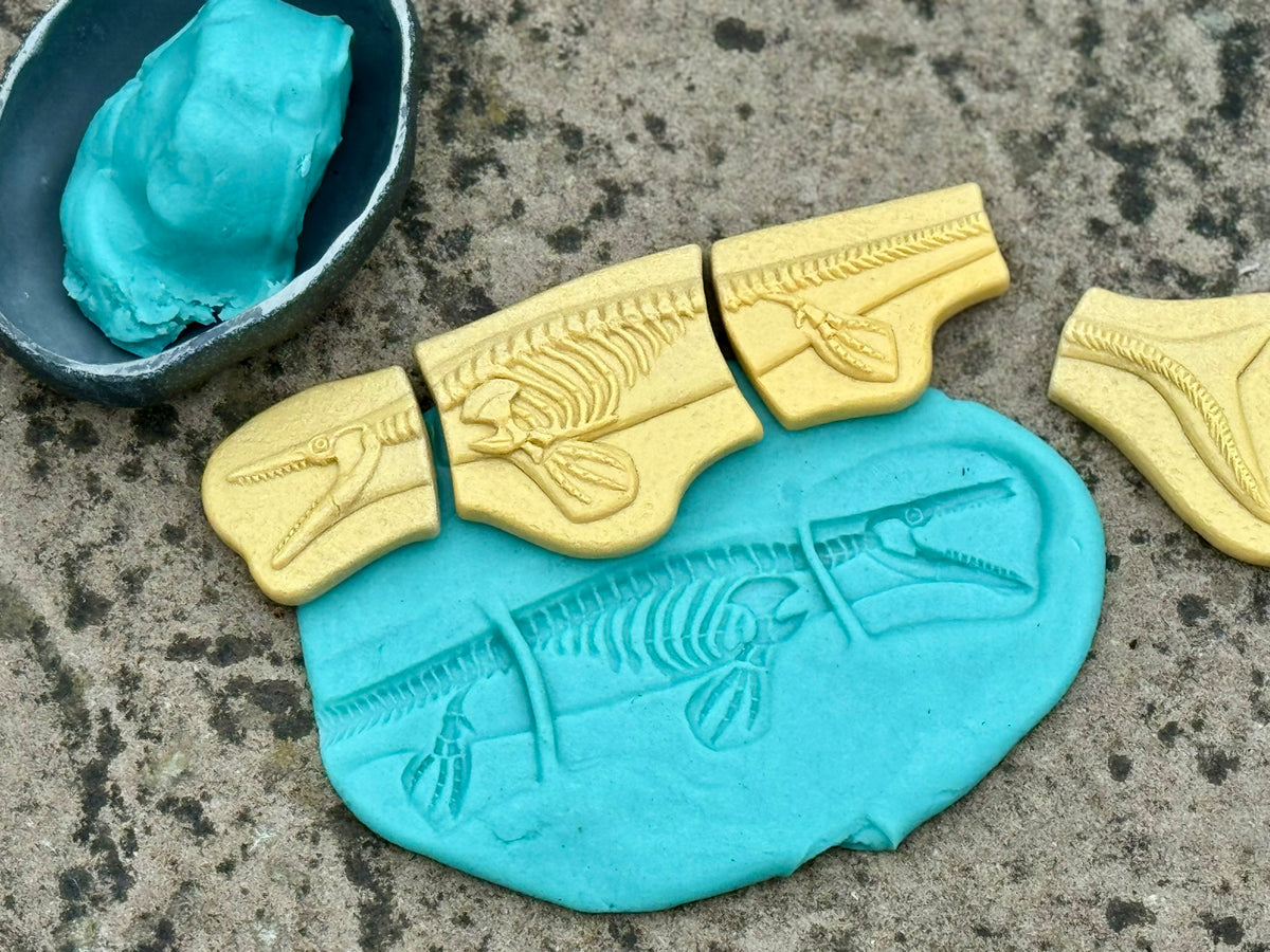 Ontdekstenen - Pliosaur & stegosaurus | Yellow Door