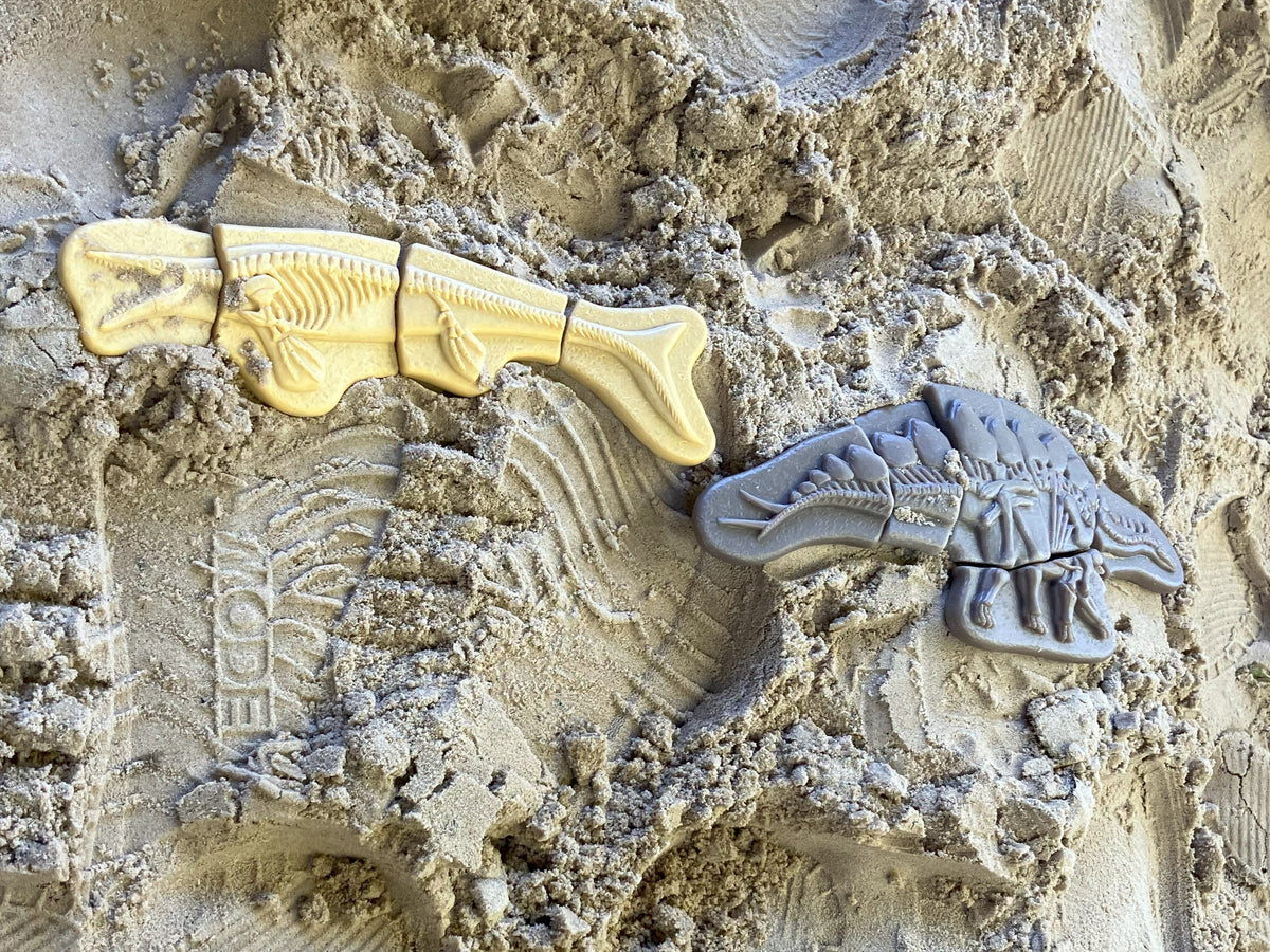 Ontdekstenen - Pliosaur & stegosaurus | Yellow Door