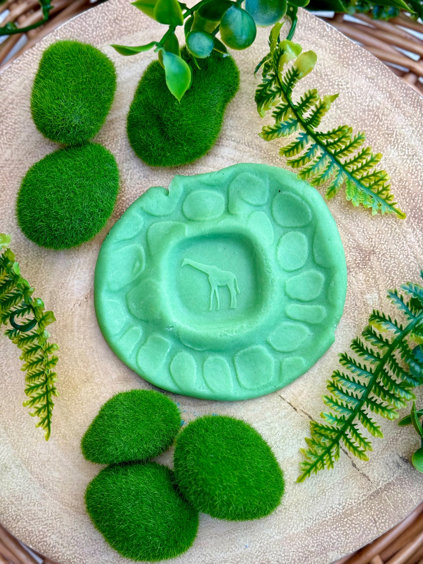 Yellow Door | Roll Around | Wilde Dieren