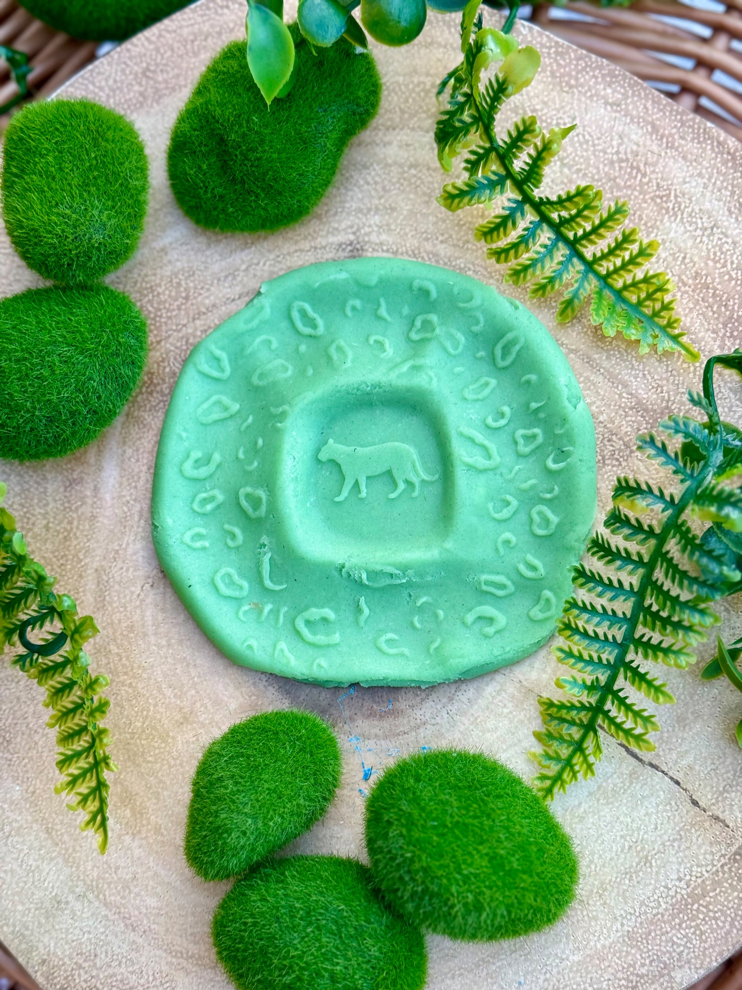 Yellow Door | Roll Around | Wilde Dieren