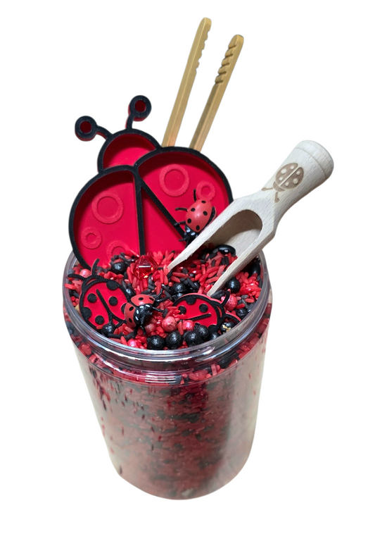 Sensoryfun | Pour & Play | Lieveheersbeestje