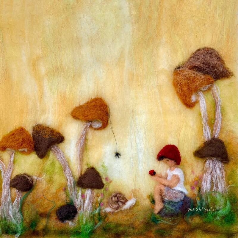 Het Wol Feetje | Seizoensplaat | Leuke Kleine Dingen