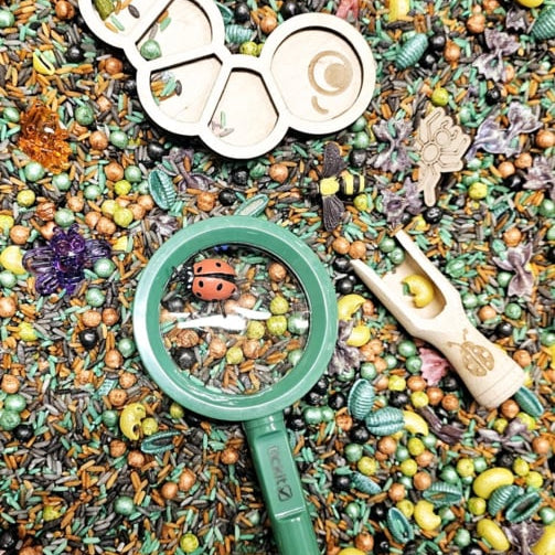 Sensoryfun | Pour & Play | Insecten