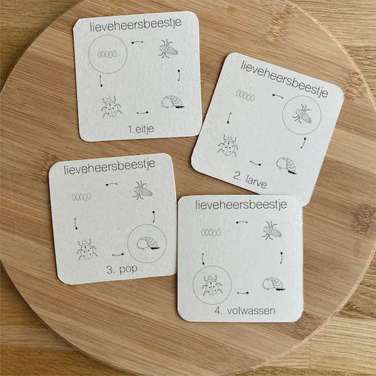 Wildebras | Flashcards | 5 in 1 Memory | Zo Groeien Dieren