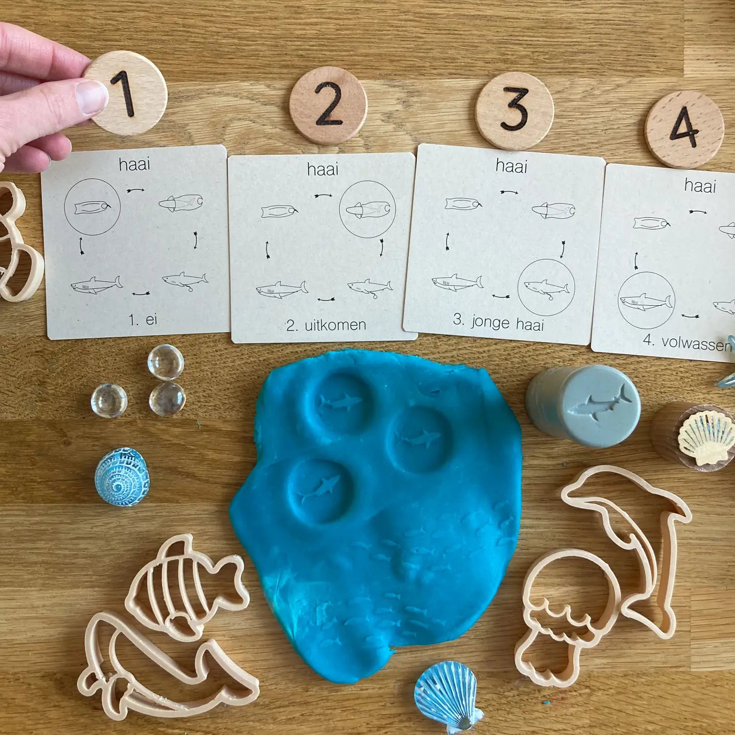 Wildebras | Flashcards | 5 in 1 Memory | Zo Groeien Dieren