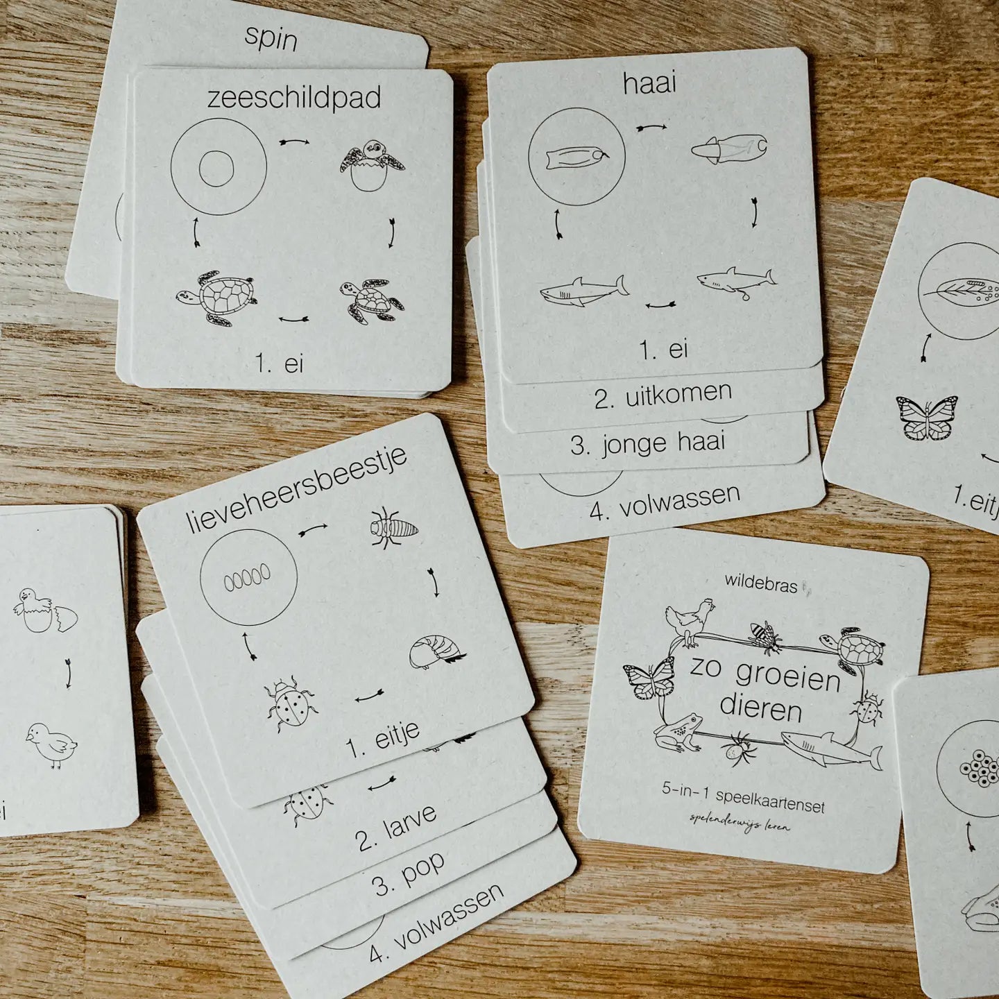 Wildebras | Flashcards | 5 in 1 Memory | Zo Groeien Dieren