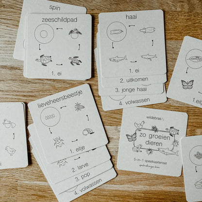 Wildebras | Flashcards | 5 in 1 Memory | Zo Groeien Dieren