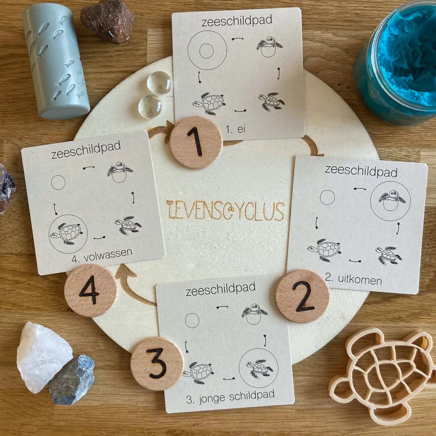 Wildebras | Flashcards | 5 in 1 Memory | Zo Groeien Dieren