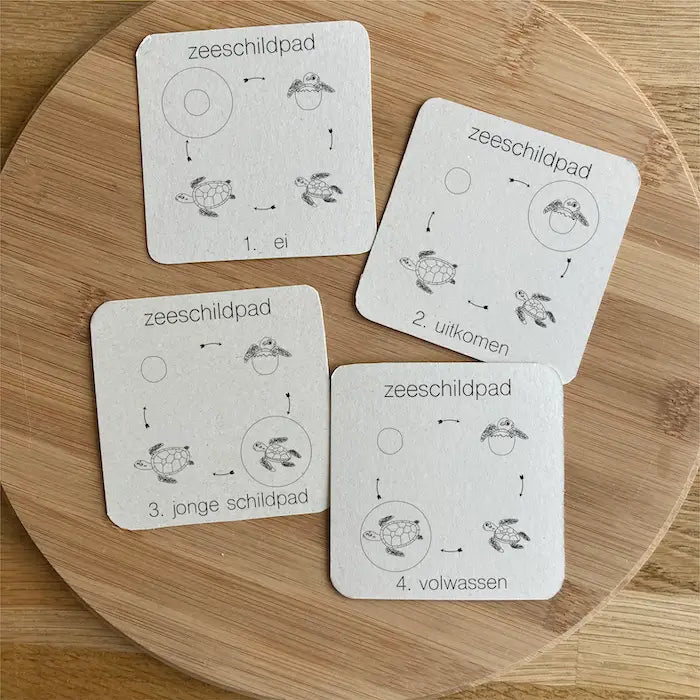 Wildebras | Flashcards | 5 in 1 Memory | Zo Groeien Dieren