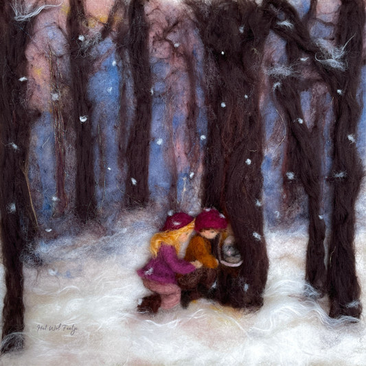 Het Wol Feetje | Seizoensplaat | Winterontdekkingen