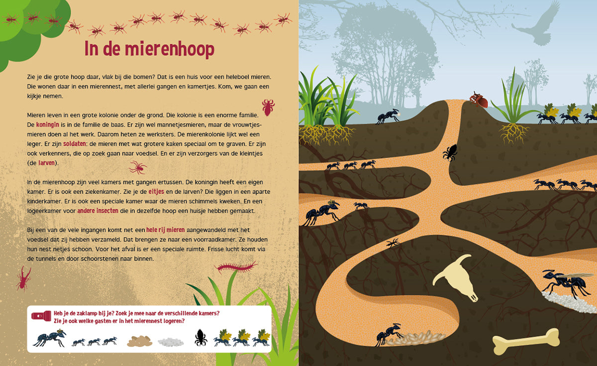 Speuren onder de Grond | Lantaarn Publishers