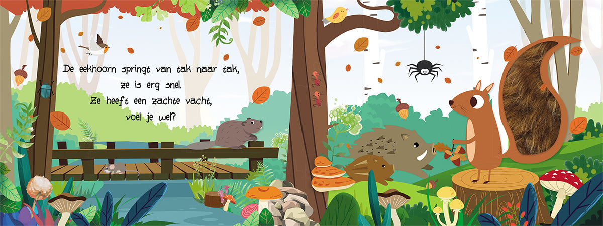 Kijk en voel - Bosdieren | Lantaarn Publishers