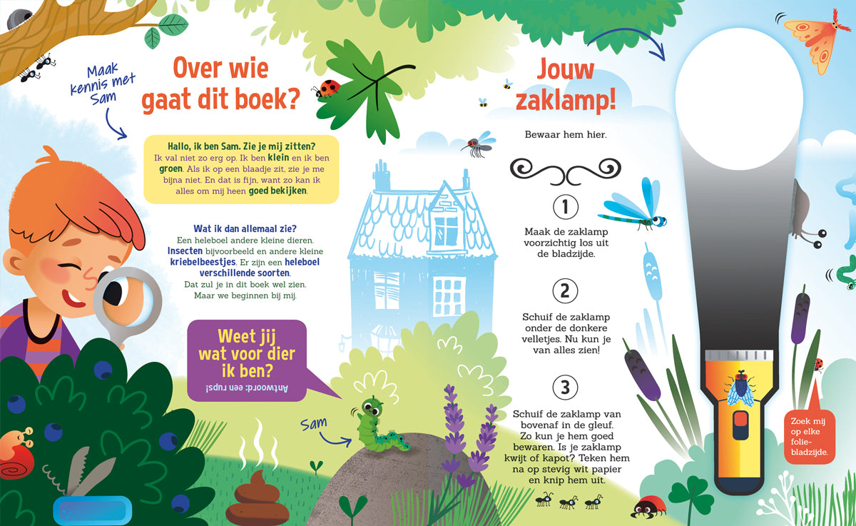 Speuren naar insecten | Lantaarn Publishers